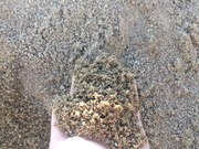 Песок для кладки
